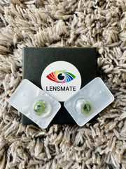 Crocodile Green Contact Lenses